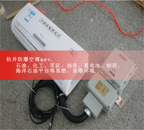 電廠防爆空調(diào)機(jī)案例圖