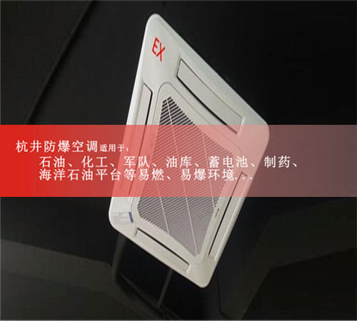 供電站專用防爆空調(diào)案例圖