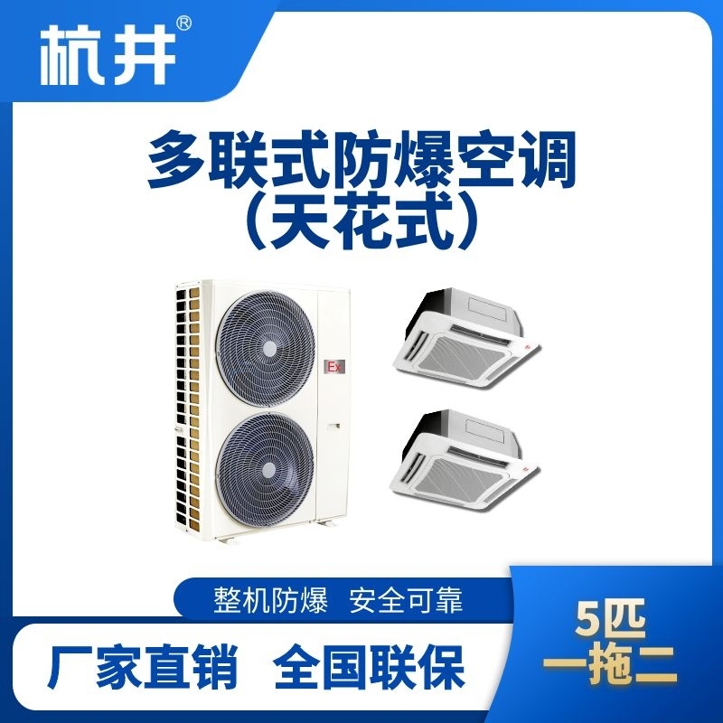 BHKT-12-Ex(12D) 防爆多聯(lián)式空調(diào)天花式一拖二